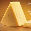 Полезен ли сыр Сырная мечта: полезные свойства